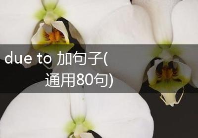 due to 加句子(通用80句)