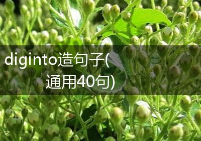 diginto造句子(通用40句)