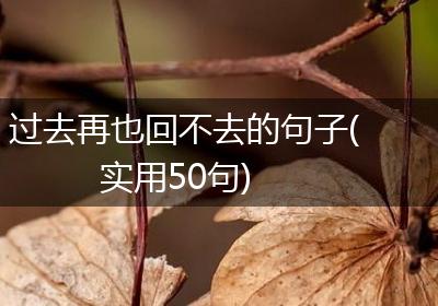 过去再也回不去的句子(实用50句)