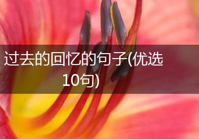 过去的回忆的句子(优选10句)