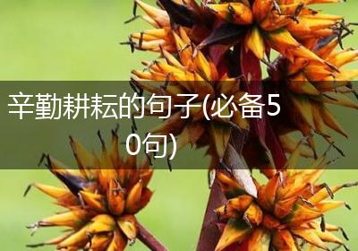 辛勤耕耘的句子(必备50句)