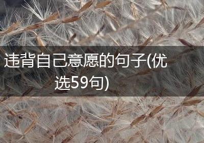 违背自己意愿的句子(优选59句)