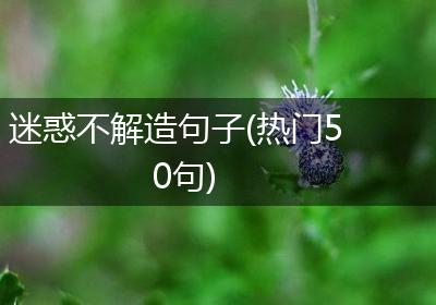 迷惑不解造句子(热门50句)