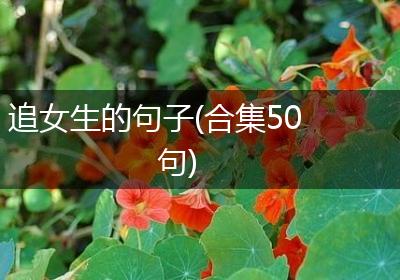 追女生的句子(合集50句)