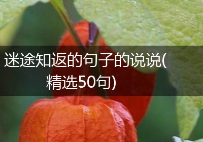 迷途知返的句子的说说(精选50句)