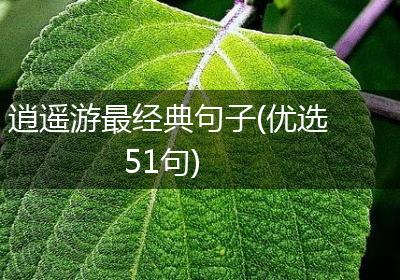 逍遥游最经典句子(优选51句)