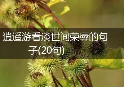逍遥游看淡世间荣辱的句子(20句)