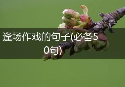 逢场作戏的句子(必备50句)