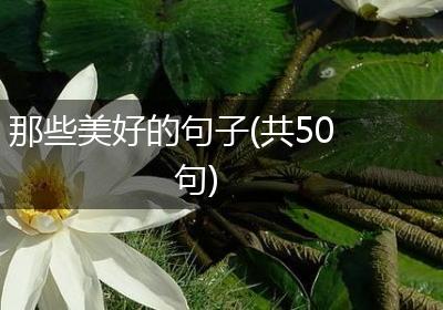 那些美好的句子(共50句)
