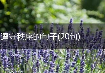 遵守秩序的句子(20句)