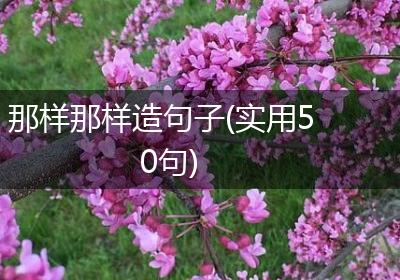那样那样造句子(实用50句)