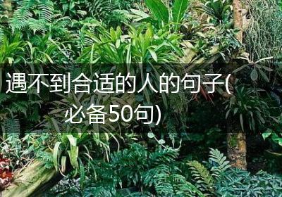 遇不到合适的人的句子(必备50句)