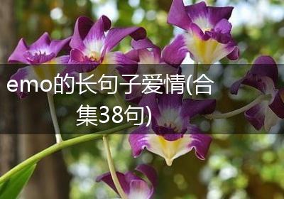 emo的长句子爱情(合集38句)