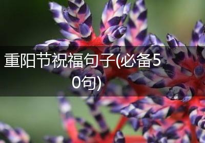 重阳节祝福句子(必备50句)