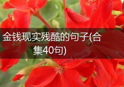 金钱现实残酷的句子(合集40句)