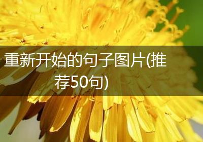 重新开始的句子图片(推荐50句)