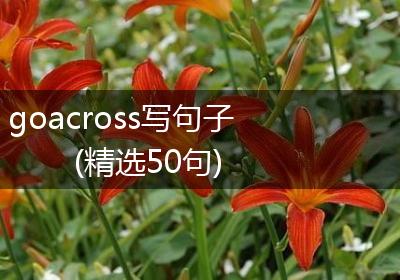 goacross写句子(精选50句)