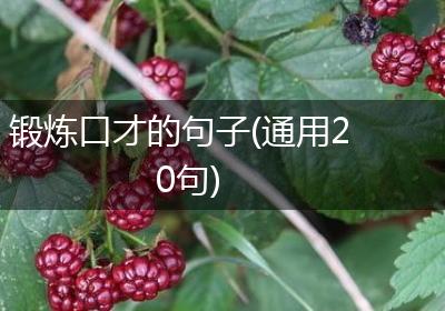 锻炼口才的句子(通用20句)