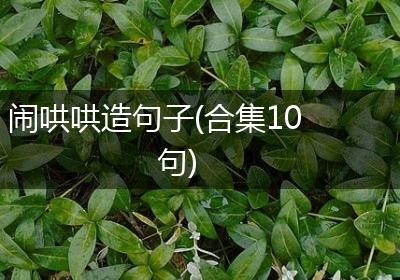 闹哄哄造句子(合集10句)