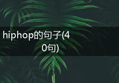 hiphop的句子(40句)