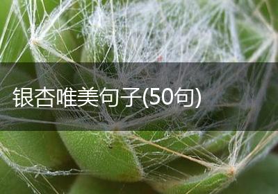 银杏唯美句子(50句)