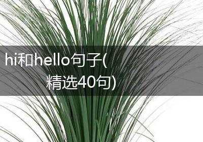 hi和hello句子(精选40句)