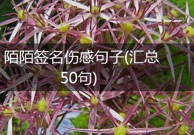 陌陌签名伤感句子(汇总50句)