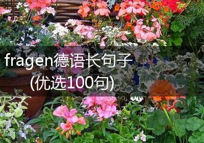 fragen德语长句子(优选100句)