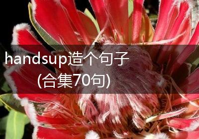 handsup造个句子(合集70句)