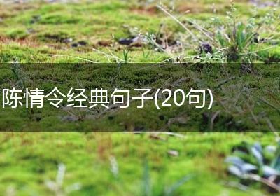 陈情令经典句子(20句)