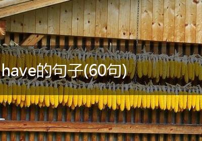 have的句子(60句)