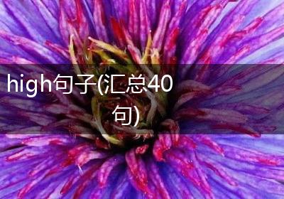 high句子(汇总40句)