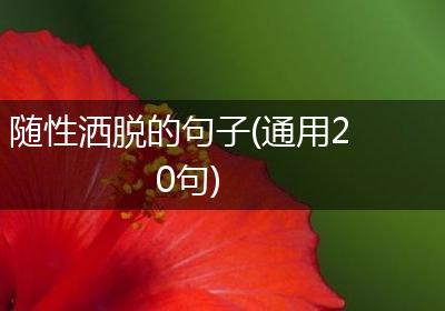 随性洒脱的句子(通用20句)