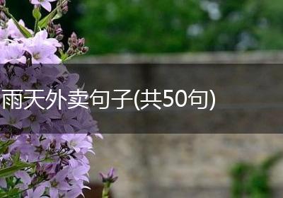 雨天外卖句子(共50句)