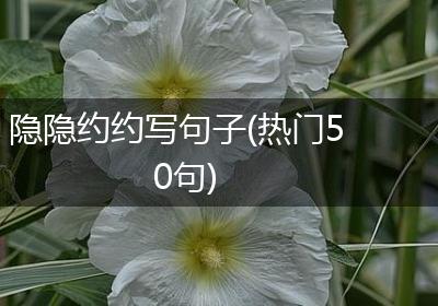 隐隐约约写句子(热门50句)