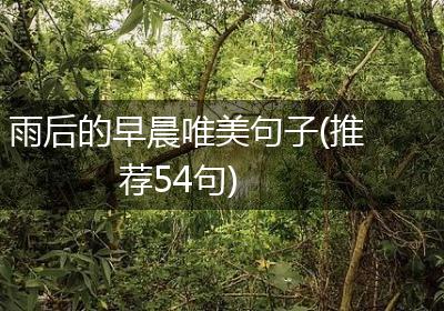 雨后的早晨唯美句子(推荐54句)