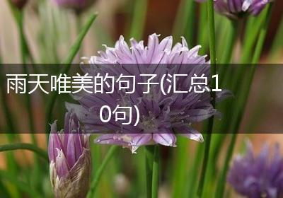 雨天唯美的句子(汇总10句)