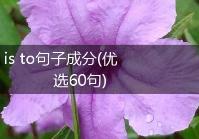 is to句子成分(优选60句)