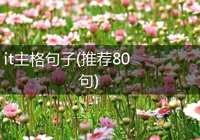 it主格句子(推荐80句)