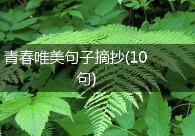 青春唯美句子摘抄(10句)