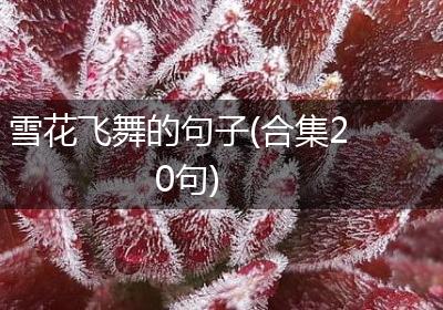 雪花飞舞的句子(合集20句)
