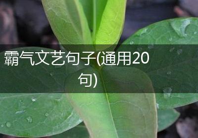 霸气文艺句子(通用20句)
