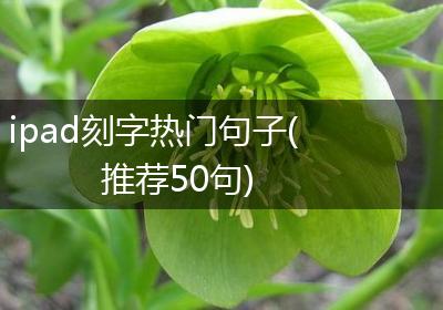 ipad刻字热门句子(推荐50句)