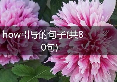 how引导的句子(共80句)
