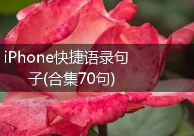 iPhone快捷语录句子(合集70句)