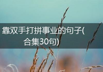 靠双手打拼事业的句子(合集30句)