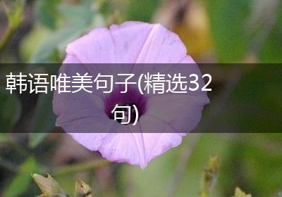 韩语唯美句子(精选32句)