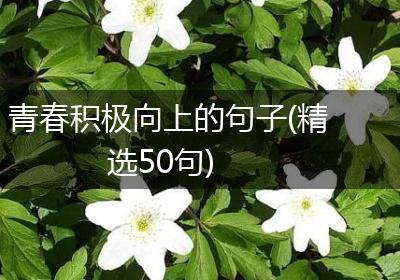 青春积极向上的句子(精选50句)