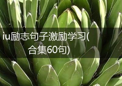 iu励志句子激励学习(合集60句)