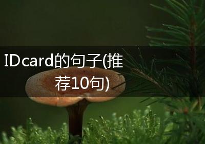 IDcard的句子(推荐10句)